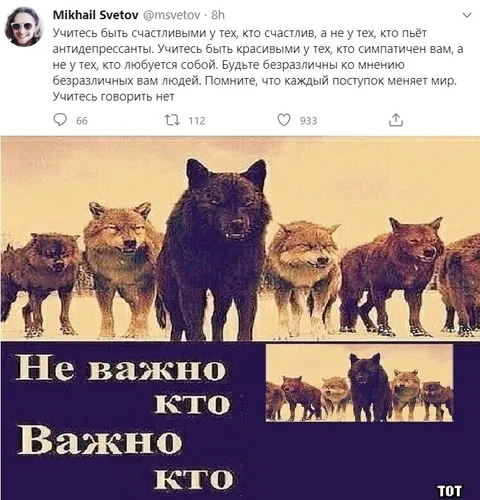 Не важно кто, важно кто