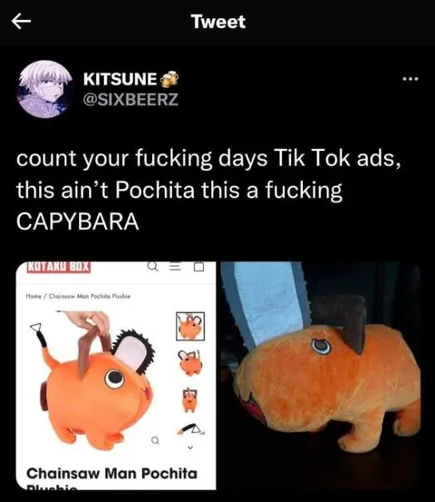 TikTok Ads Pochita Complaint