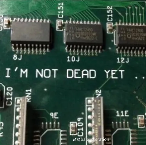 I'm Not Dead Yet Circuit Board
