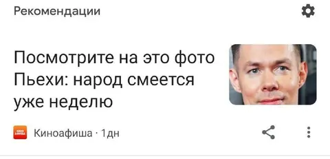 Народ смеётся над фото Пьехи