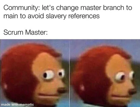 Scrum Master Side-Eye