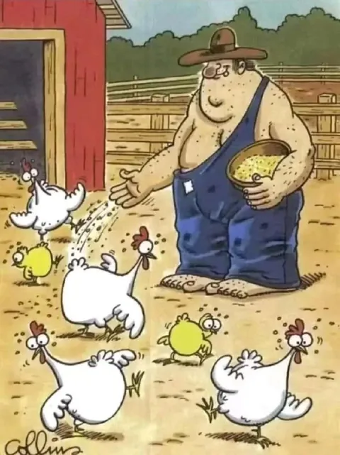 Фермер кормит кур