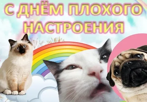 С днём плохого настроения