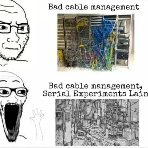 Bad Cable Management Lain