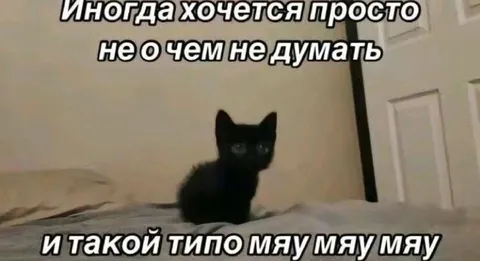 Иногда хочется ни о чем не думать