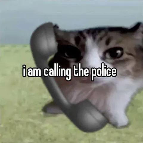 Cat Calling the Police
