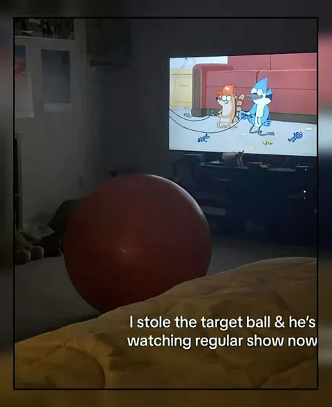 Stole the Target Ball