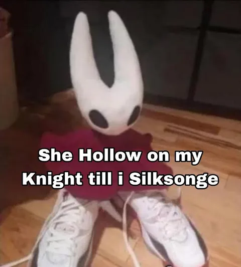 Hollow Knight Silksong Wait