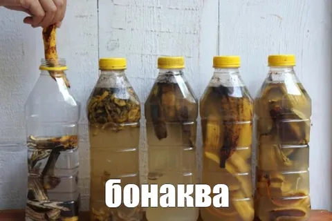 Бонаква с огурцами