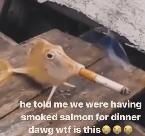 Smoked Salmon for Dinner