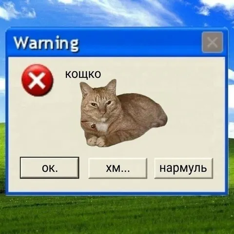 Кошко с ошибкой Windows