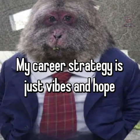 My Career Strategy Is Vibes