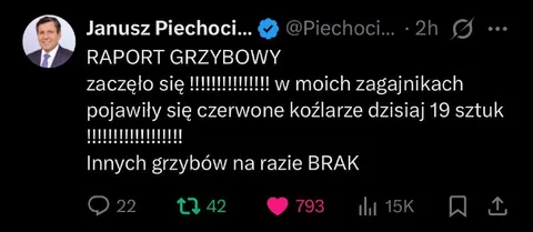 Raport grzybowy z zagajników