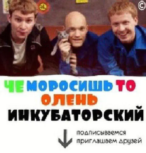 Че морозишь, олень инкубаторский