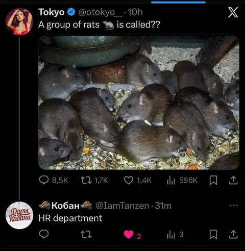 Rat Group HR Department Joke