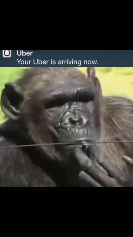 Your Uber Is Arriving Now
