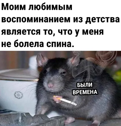 Воспоминание о здоровой спине