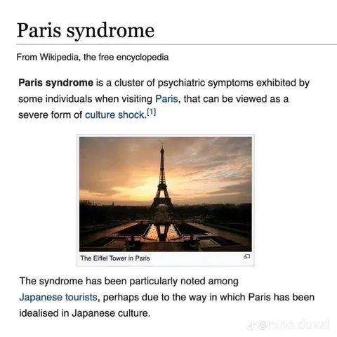 Paris Syndrome Wikipedia Screenshot