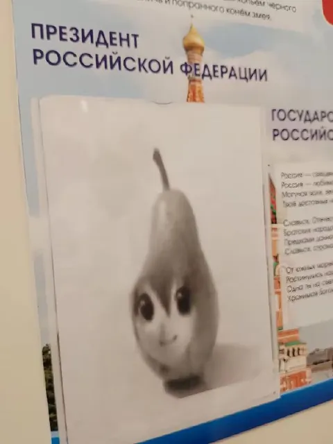Президент-груша