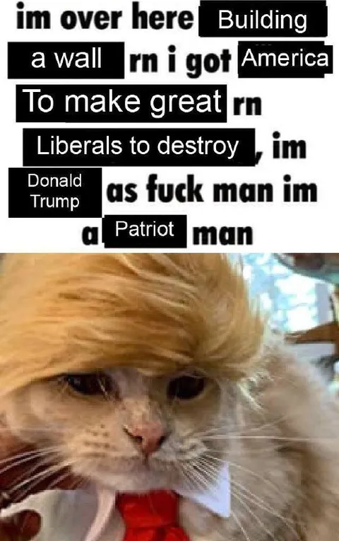 Patriot Cat Builds a Wall