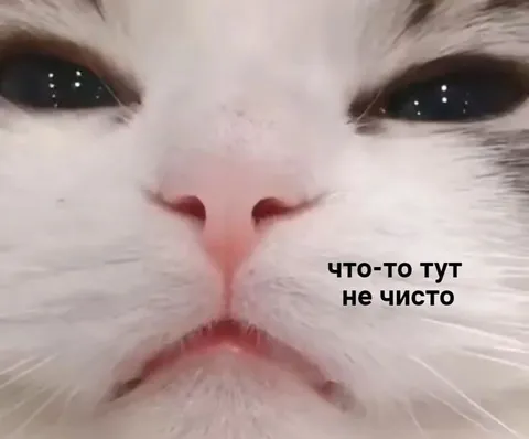 Что-то тут не чисто
