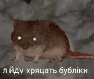 Хомяк идёт хрячить бублики