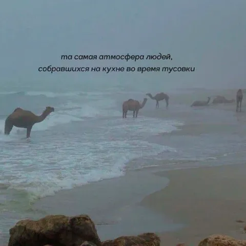 Атмосфера тусовки на кухне