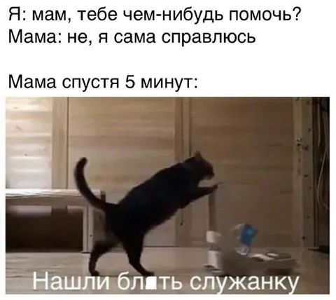 Мама нашла служанку