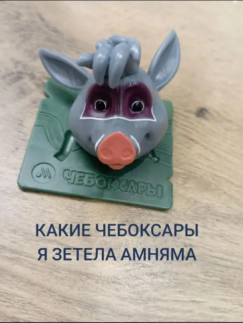 Какие Чебоксары я заела амнямя