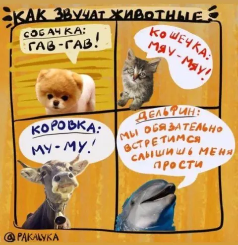 Как звучат животные
