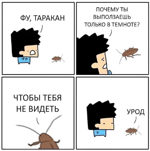 Таракан прячется в темноте