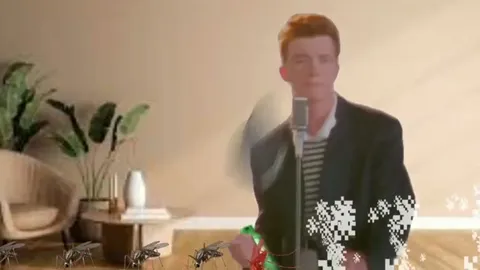 Rick Astley Versus Mosquitoes