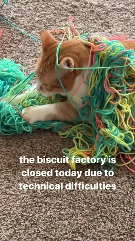 Biscuit Factory Technical Difficulties