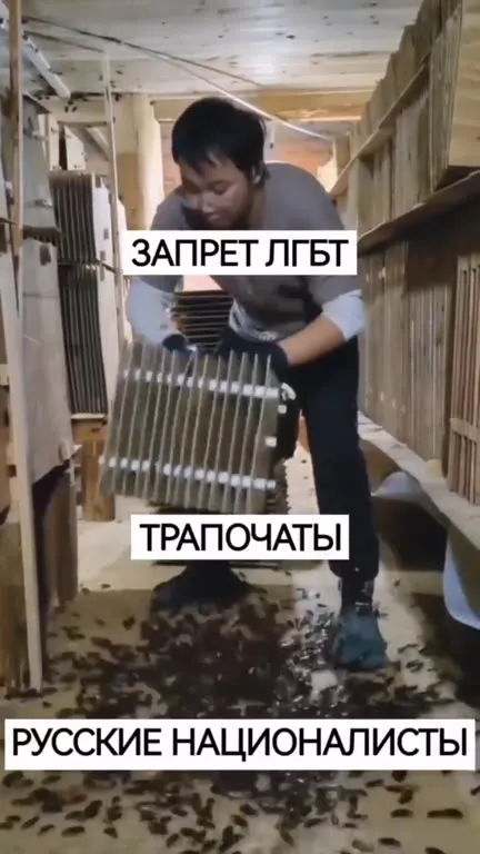 Русские националисты выпускают тараканов
