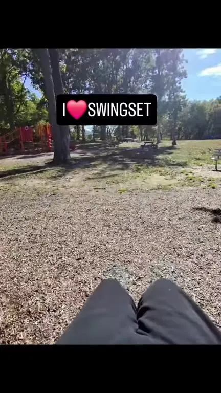 I Love Swingsets Too Much