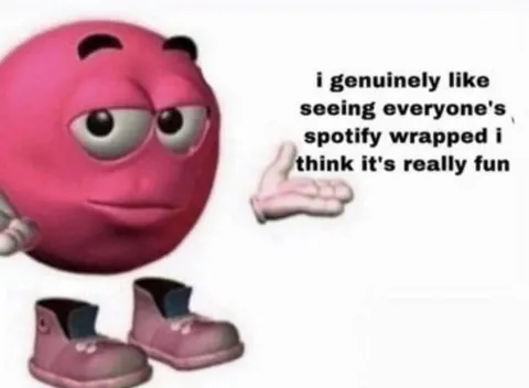 Genuinely Likes Spotify Wrapped