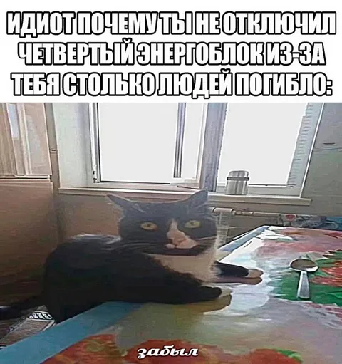 Кот забыл отключить энергоблок
