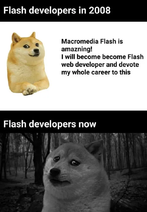 Flash Developers Then and Now