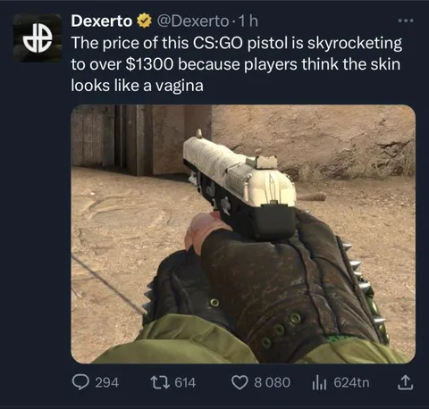 CS:GO Pistol Looks Like a Vagina