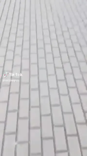 Трактор едет в Освенцим