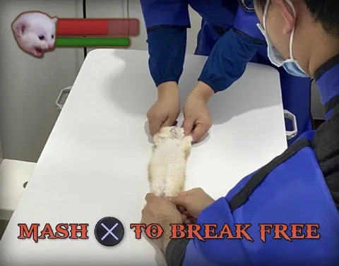 Mouse Mashing to Break Free