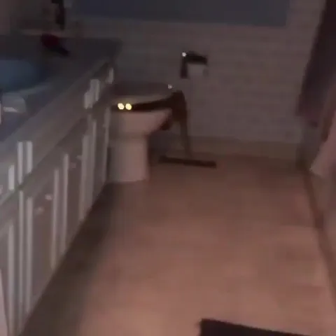 Кот застрял за унитазом