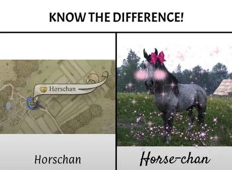 Know the Difference Horse-chan