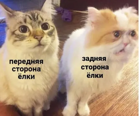 Передняя и задняя сторона ёлки