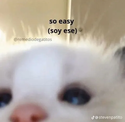 So Easy Soy Ese Cat