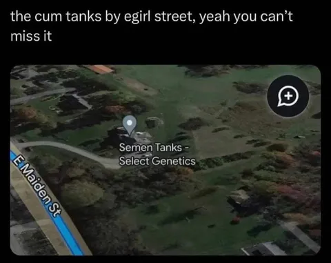The Cum Tanks on Egirl Street