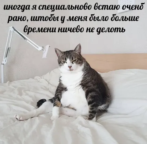 Рано встал и ничего не делать