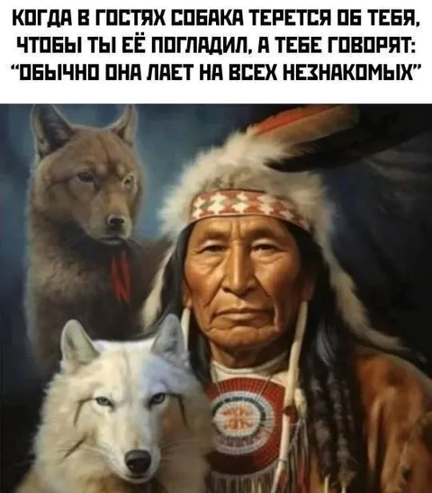 Собака лает на незнакомых
