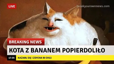 Kot z bananem popierdoliło