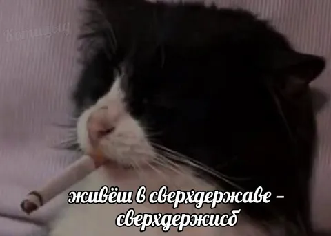 Живёшь в сверхдержаве